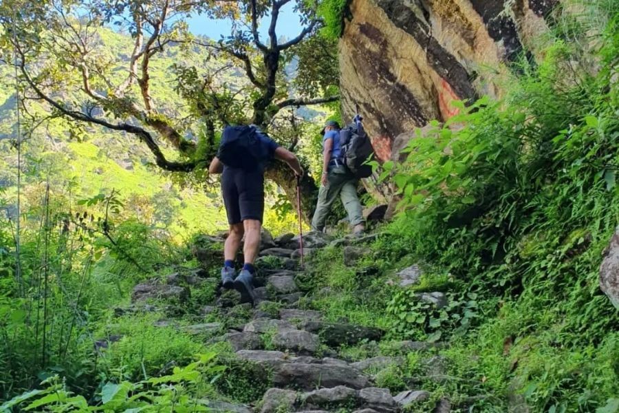Hikers ascending stone steps on Langtang Valley trail through dense vegetation